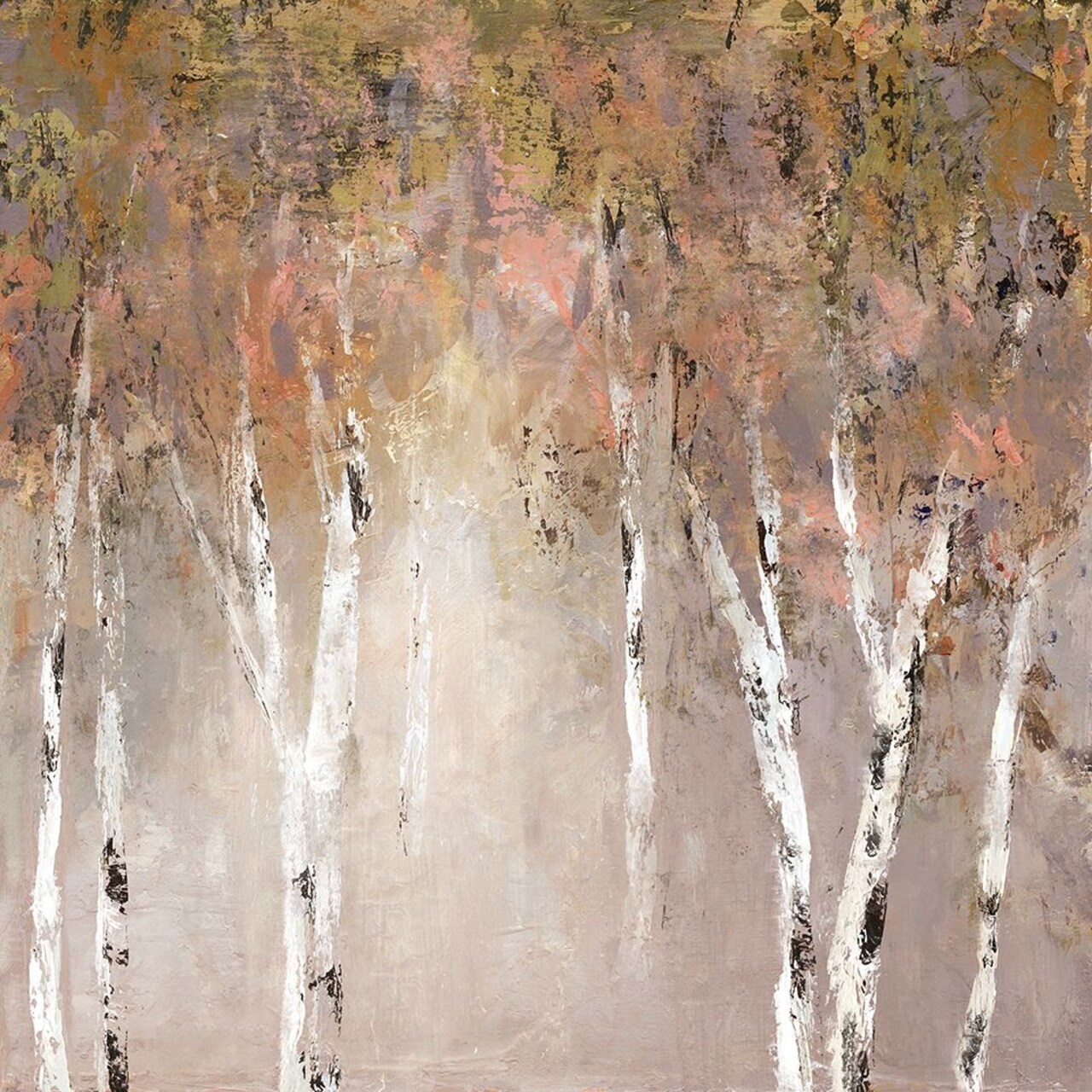 Sunlit Birch I Poster Print by Carol Robinson - Item # VARPDX19506